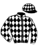 casaque portée par Lefebvre F. jockey du cheval de course BIENNE, information pmu ZETURF