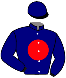 casaque portée par Lecoeuvre C. jockey du cheval de course MAIA STAR, information pmu ZETURF casaque portée par Lecoeuvre C. jockey du cheval de course MAIA STAR, information pmu ZETURF