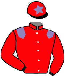 casaque portée par Pouchin A. jockey du cheval de course RAQEEBB, information pmu ZETURF casaque portée par Pouchin A. jockey du cheval de course RAQEEBB, information pmu ZETURF