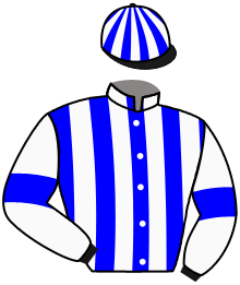 casaque portée par Guyon M. jockey du cheval de course MARTIN, information pmu ZETURF