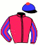 casaque portée par Seguy V. jockey du cheval de course MUCH STYLE, information pmu ZETURF